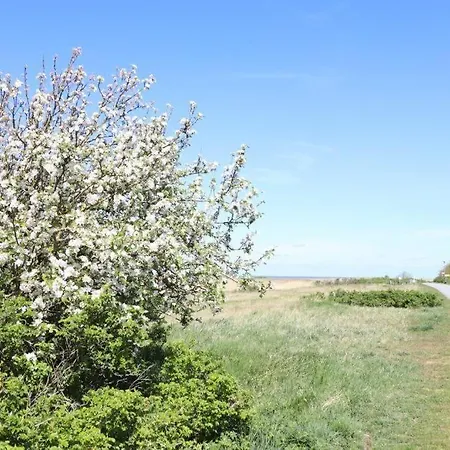 Haus-itjen-gelb-2 * Куксхафен